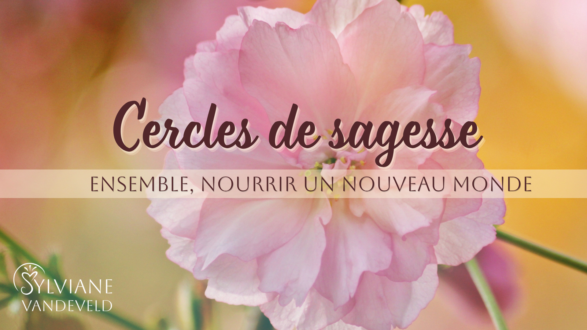 Cercle de sagesse
