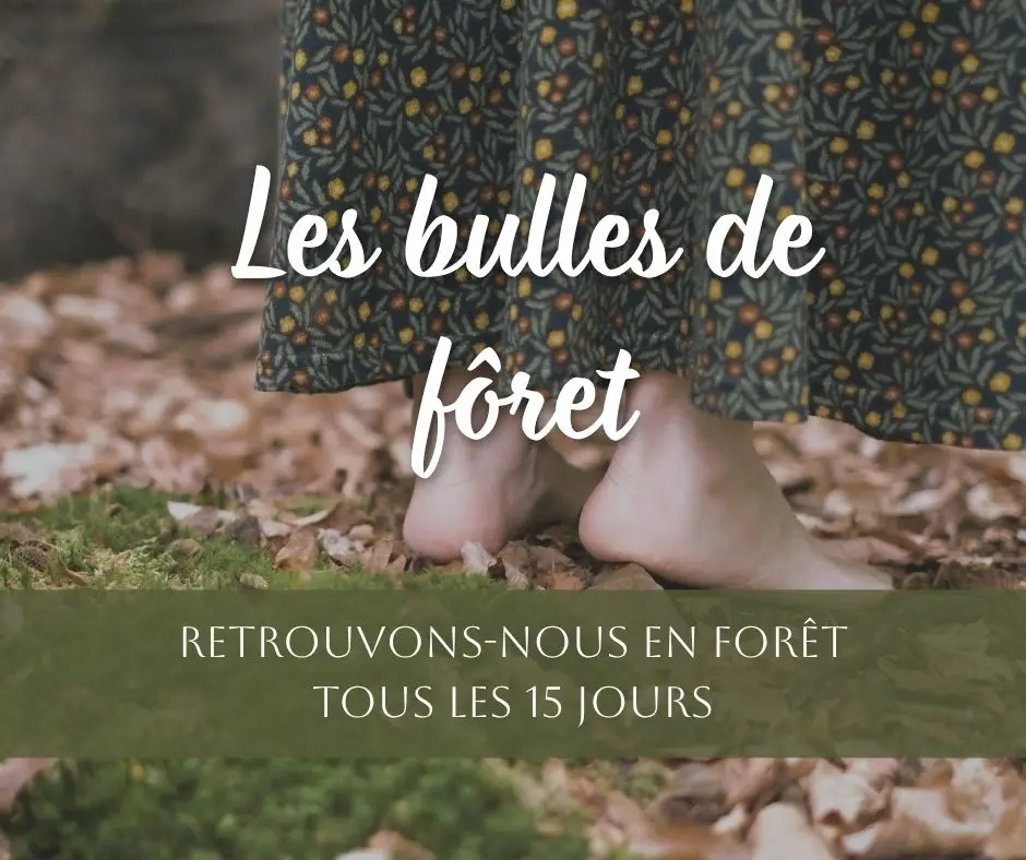 Cercle de sagesse