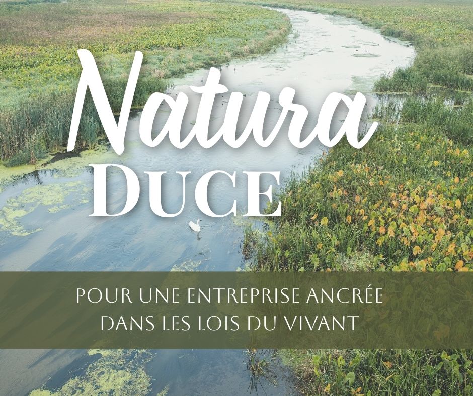 Cercle de sagesse